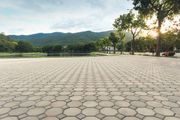 Best Residential Driveway Paver Services  in Winnsboro, SC